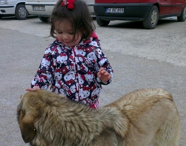 Name:  10173519_10152385260229491_7060324571388611233_n.jpg
Views: 1280
Size:  59.6 KB