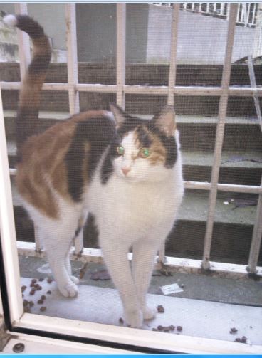 Name:  Ekran Alnts5.JPG
Views: 473
Size:  40.4 KB
