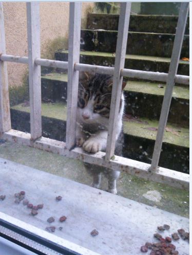 Name:  Ekran Alnts8.JPG
Views: 459
Size:  42.5 KB