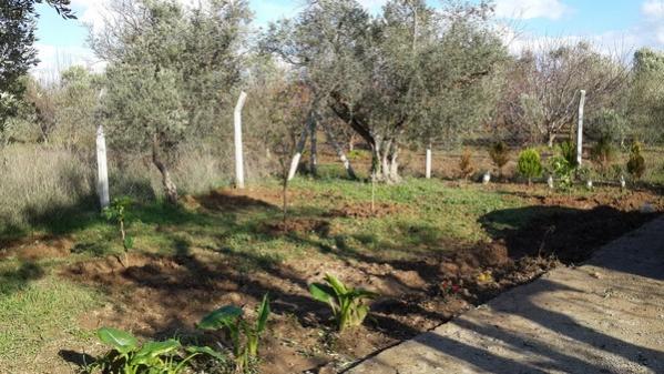 Name:  20141210_135301.jpg
Views: 832
Size:  52.2 KB