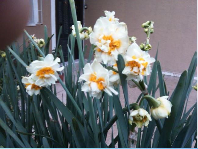 Name:  Ekran Alnts1.jpg
Views: 688
Size:  44.4 KB