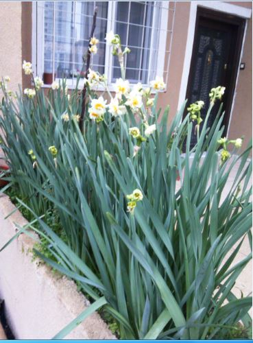 Name:  Ekran Alnts2.JPG
Views: 648
Size:  51.0 KB