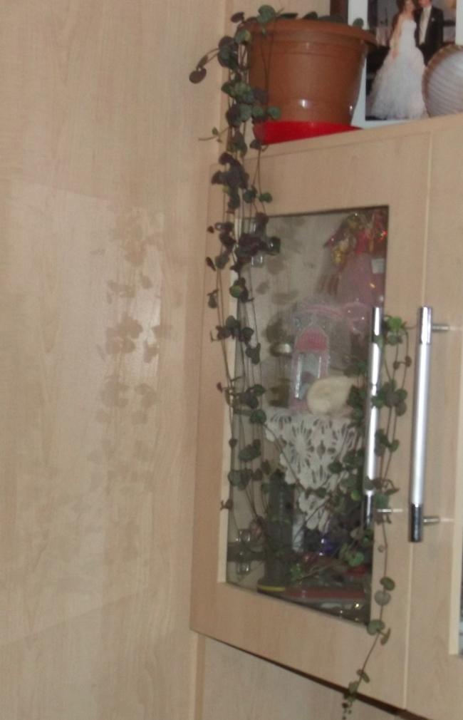 Name:  DSCF6416.jpg
Views: 525
Size:  50.4 KB