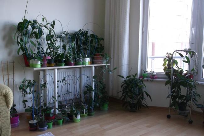 Name:  DSCF6398.jpg
Views: 570
Size:  40.8 KB