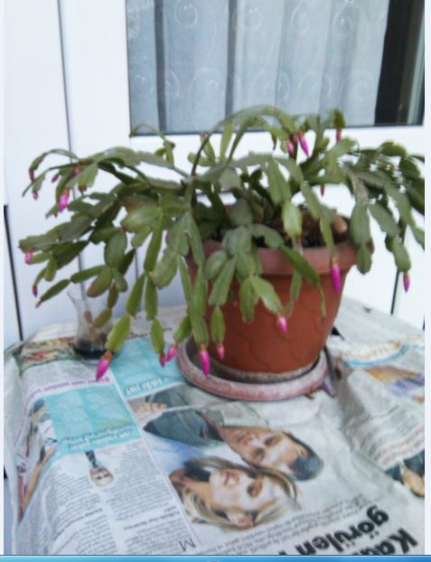 Name:  Ekran Alnts7.JPG
Views: 363
Size:  52.9 KB