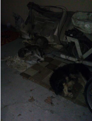Name:  Ekran Alnts1.JPG
Views: 523
Size:  26.0 KB