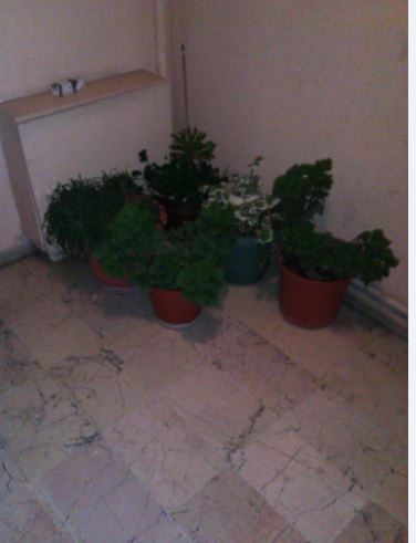 Name:  Ekran Alnts2.JPG
Views: 425
Size:  26.9 KB