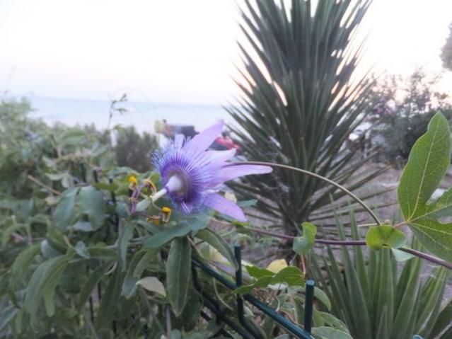Name:  DSCF5523.jpg
Views: 388
Size:  41.1 KB