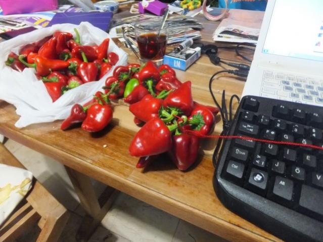 Name:  DSCF5615.jpg
Views: 324
Size:  50.3 KB