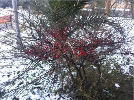 Name:  Ekran Alnts7.jpg
Views: 627
Size:  73.1 KB