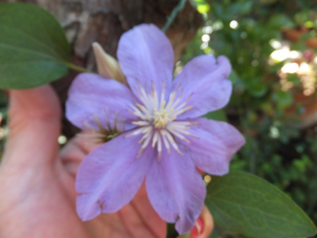 Name:  DSCF5678.jpg
Views: 260
Size:  55.7 KB