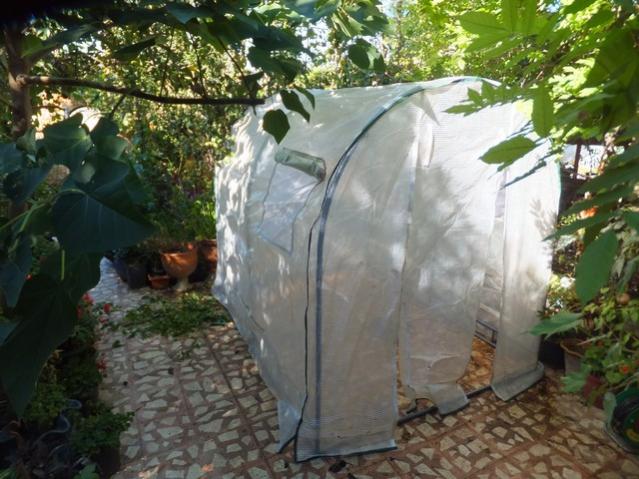 Name:  DSCF6101.jpg
Views: 466
Size:  58.3 KB