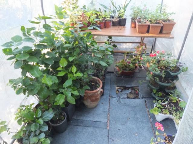 Name:  DSCF6118.jpg
Views: 472
Size:  54.8 KB