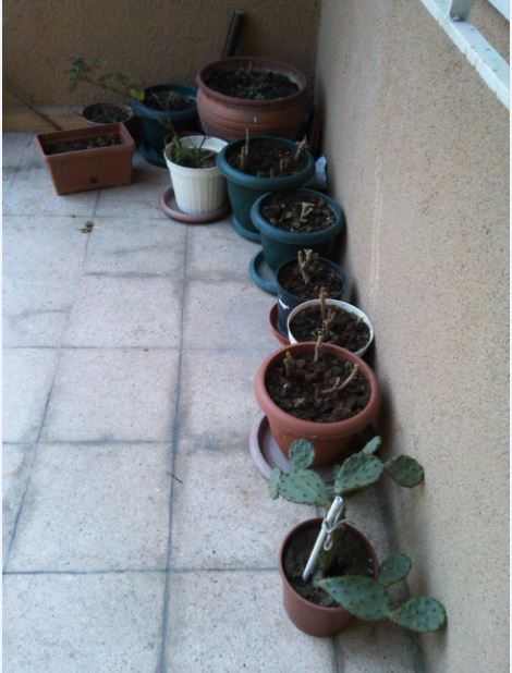 Name:  Ekran Alnts2.JPG
Views: 719
Size:  52.8 KB