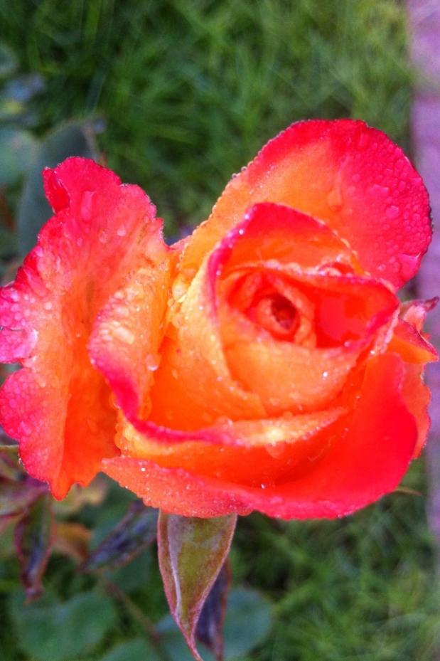 Name:  image.jpg
Views: 562
Size:  64.5 KB