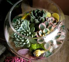 Name:  images22ZKIWSG.jpg
Views: 905
Size:  10.5 KB