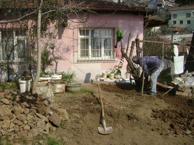 Name:  001-25.03.2012-01.jpg
Views: 6275
Size:  70.5 KB