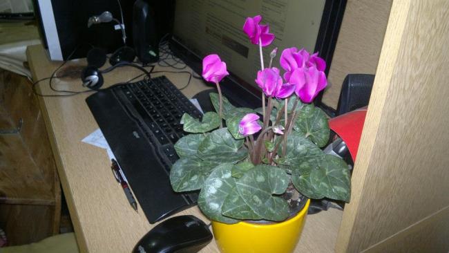 Name:  06.12.2013-01.jpg
Views: 5693
Size:  37.9 KB