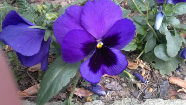 Name:  10.01.2014-05.jpg
Views: 5653
Size:  40.6 KB