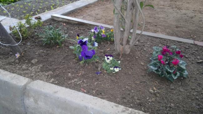 Name:  002-18.01.2014-02.jpg
Views: 5798
Size:  49.1 KB