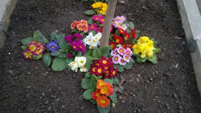 Name:  005-01.03.2014-01.jpg
Views: 5768
Size:  51.4 KB