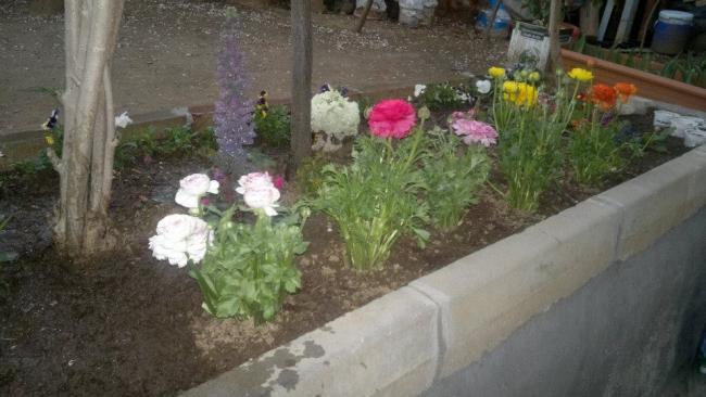 Name:  008-19.03.2014-01.jpg
Views: 5718
Size:  39.8 KB