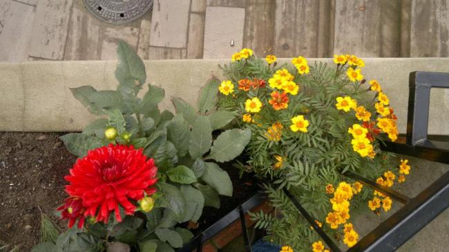 Name:  003-11.02.2014-11.jpg
Views: 5433
Size:  45.8 KB