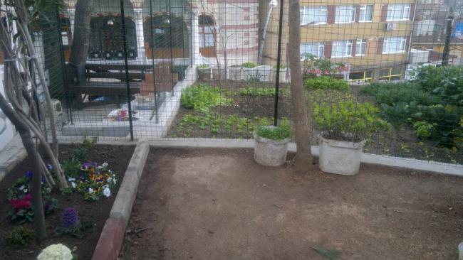 Name:  13.02.2014-04.jpg
Views: 5477
Size:  43.1 KB