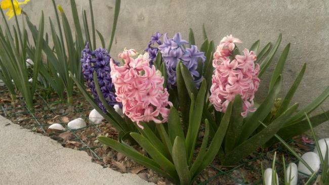 Name:  23.03.2014-02.jpg
Views: 5438
Size:  44.5 KB