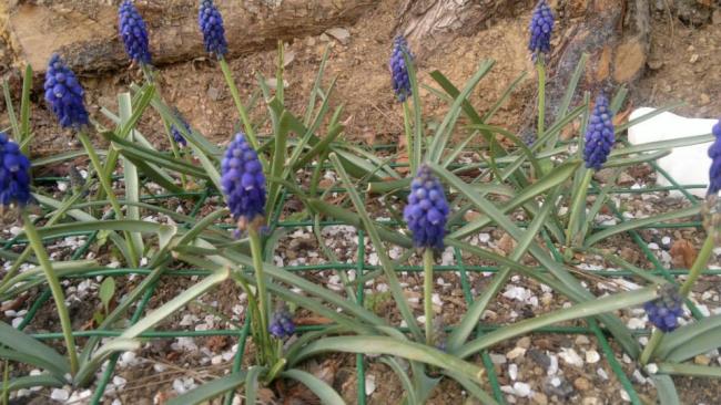 Name:  23.03.2014-03.jpg
Views: 5370
Size:  57.9 KB