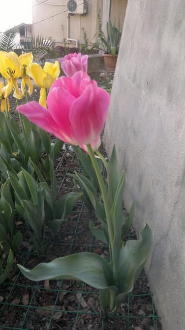 Name:  2014-04-20-502.jpg
Views: 5221
Size:  36.3 KB