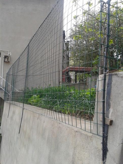 Name:  20140420_175334.jpg
Views: 1121
Size:  62.0 KB
