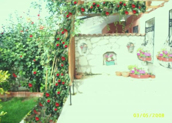 Name:  023.jpg
Views: 1257
Size:  57.6 KB