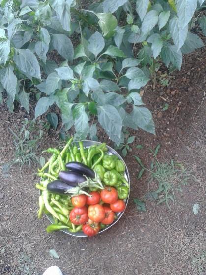 Name:  20140720_183437.jpg
Views: 925
Size:  57.1 KB
