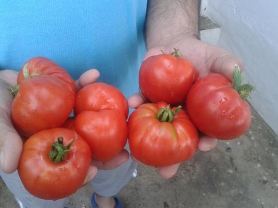 Name:  20140724_093726.jpg
Views: 905
Size:  27.0 KB