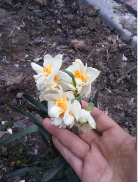 Name:  Ekran Alnts1.JPG
Views: 933
Size:  58.0 KB