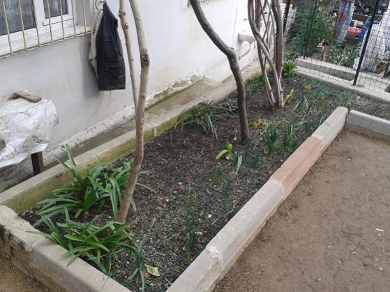 Name:  5-20150130_143619.jpg
Views: 784
Size:  50.2 KB