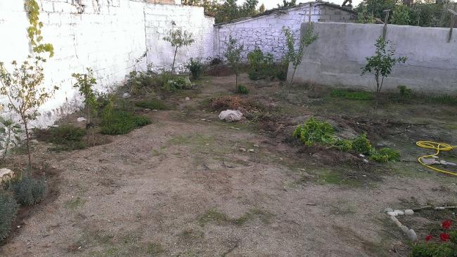 Name:  IMAG0311.jpg
Views: 768
Size:  56.4 KB