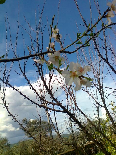 Name:  Fotoraf1926.jpg
Views: 582
Size:  76.3 KB