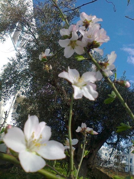 Name:  Fotoraf1927.jpg
Views: 566
Size:  74.9 KB