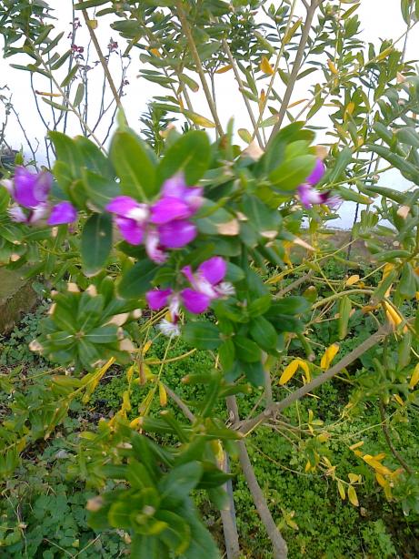 Name:  Fotoraf1918.jpg
Views: 543
Size:  79.3 KB