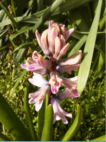 Name:  Ekran Alnts3b.JPG
Views: 344
Size:  49.5 KB