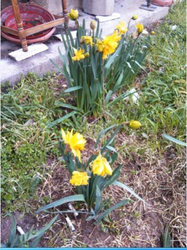 Name:  Ekran Alnts5.jpg
Views: 421
Size:  52.7 KB