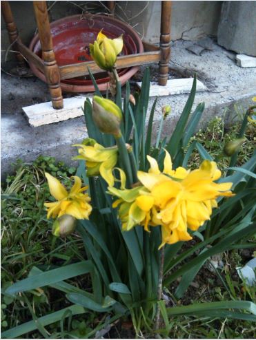 Name:  Ekran Alnts5a.JPG
Views: 401
Size:  52.6 KB