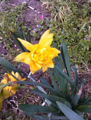 Name:  Ekran Alnts5b.JPG
Views: 355
Size:  54.9 KB