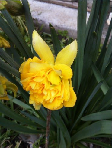 Name:  Ekran Alnts5c.JPG
Views: 357
Size:  36.4 KB