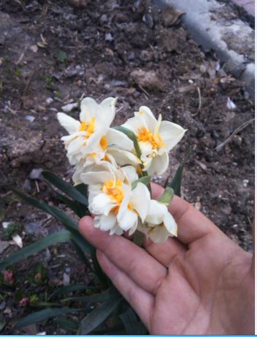 Name:  Ekran Alnts4c.JPG
Views: 350
Size:  42.9 KB