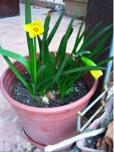 Name:  Ekran Alnts4e.JPG
Views: 379
Size:  46.1 KB