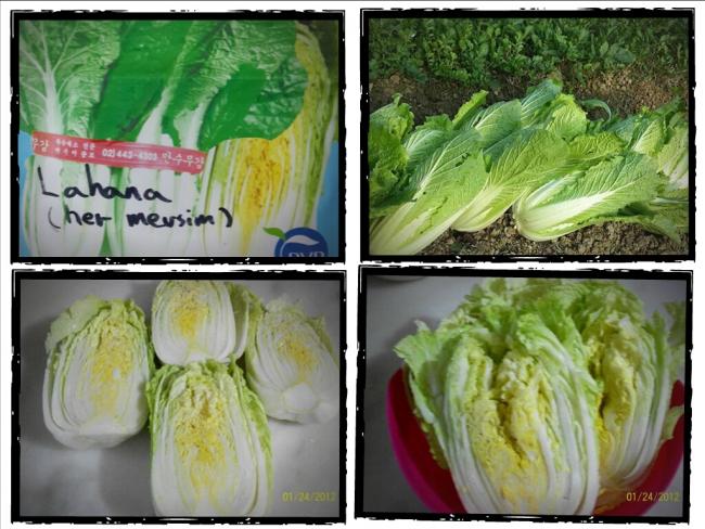 Name:  PicsArt_1424293450878[1].jpg
Views: 6673
Size:  63.3 KB
