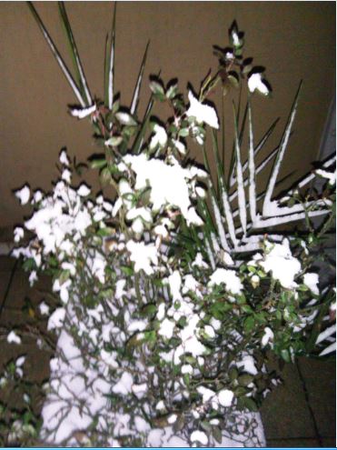 Name:  Ekran Alnts7.JPG
Views: 286
Size:  52.2 KB